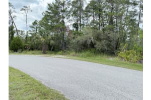 0 BAHAMA SWALLOW AVENUE, WEEKI WACHEE, FL 34613 - MLS#MFRTB8404520