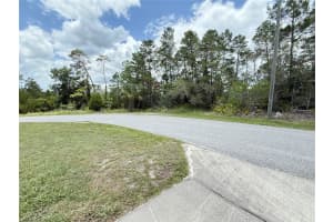 0 BAHAMA SWALLOW AVENUE, WEEKI WACHEE, FL 34613 - MLS#MFRTB8404520