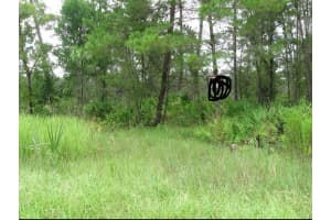 0 BAHAMA SWALLOW AVENUE, WEEKI WACHEE, FL 34613 - MLS#MFRTB8404520