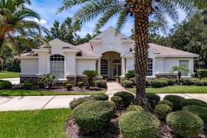 6031 Audubon Manor Blvd, LITHIA