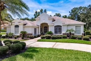 6031 AUDUBON MANOR BOULEVARD, LITHIA, FL 33547 - MLS#MFRTB8404527