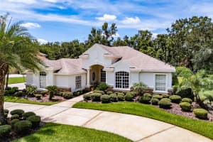 6031 AUDUBON MANOR BOULEVARD, LITHIA, FL 33547 - MLS#MFRTB8404527