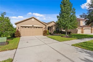 20120 NATURES HIKE WAY, TAMPA, FL 33647 - MLS#MFRTB8404548
