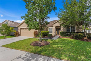 20120 NATURES HIKE WAY, TAMPA, FL 33647 - MLS#MFRTB8404548