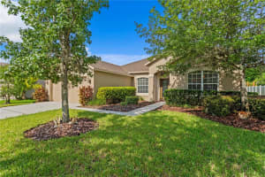 20120 NATURES HIKE WAY, TAMPA, FL 33647 - MLS#MFRTB8404548
