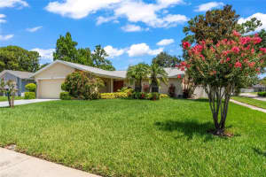 7511 Mayfair Ct, TAMPA