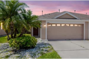 30930 WHITLOCK DRIVE, WESLEY CHAPEL, FL 33543 - MLS#MFRTB8404585