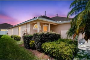 30930 WHITLOCK DRIVE, WESLEY CHAPEL, FL 33543 - MLS#MFRTB8404585