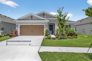 6218 HIDDEN BRANCH DRIVE, APOLLO BEACH, FL 33572 - MLS#MFRTB8404593