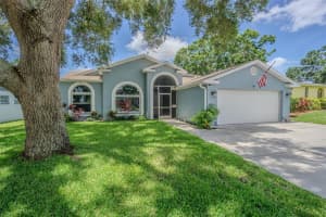 193 E Canal Dr, PALM HARBOR