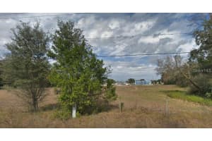 4137 NEW RIVER RD, ZEPHYRHILLS, FL 33542 - MLS#MFRTB8404619