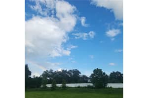 4137 NEW RIVER RD, ZEPHYRHILLS, FL 33542 - MLS#MFRTB8404619