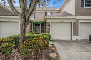 11066 Windsor Place Cir, TAMPA