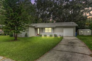 320 Pheasant Cir, BRANDON