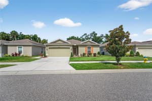 10409 CANDLEBERRY WOODS LANE, GIBSONTON, FL 33534 - MLS#MFRTB8404716