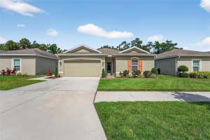 10409 CANDLEBERRY WOODS LANE, GIBSONTON, FL 33534 - MLS#MFRTB8404716
