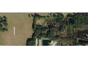 12896 AMBER RENEE LANE, DADE CITY, FL 33525 - MLS#MFRTB8404721
