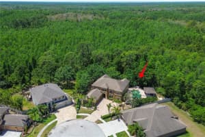 14809 Ninebark Ct, LAND O LAKES
