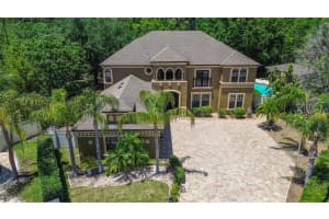14809 NINEBARK COURT, LAND O LAKES, FL 34638 - MLS#MFRTB8404739