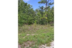 Lot 7 CRABAPPLE, WEEKI WACHEE, FL 34614 Sold 09/22/25