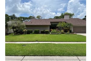 4214 Deepwater Ln, TAMPA