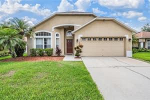 19028 Weatherstone Dr, TAMPA