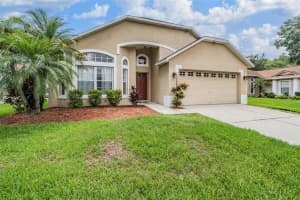 19028 WEATHERSTONE DRIVE, TAMPA, FL 33647 - MLS#MFRTB8404841