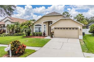 19028 WEATHERSTONE DRIVE, TAMPA, FL 33647 - MLS#MFRTB8404841
