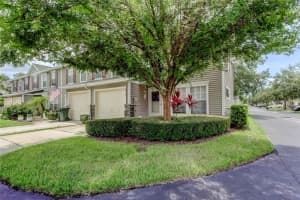 8014 APPALOOSA DRIVE, LARGO, FL 33773 - MLS#MFRTB8404849