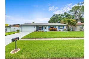4313 Hollow Hill Dr, TAMPA