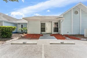 16117 Rambling Vine Dr E, TAMPA