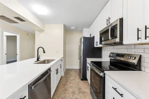 16117 RAMBLING VINE DRIVE, TAMPA, FL 33624 - MLS#MFRTB8404883