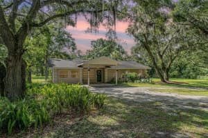 5910 TIMBERWOOD DRIVE, LAKELAND, FL 33811 - MLS#MFRTB8404916