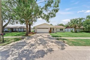 13508 Capitol Dr, TAMPA