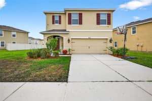 7893 Pelican Reed Cir, WESLEY CHAPEL