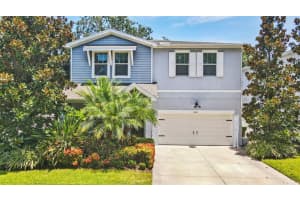 3519 W Palmira Ave, TAMPA