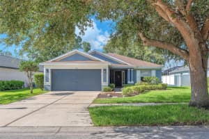 11841 AUTUMN CREEK DRIVE, RIVERVIEW, FL 33569 Sold 07/31/25
