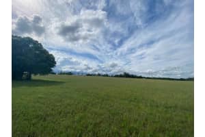 0 WHITE ROAD, BROOKSVILLE, FL 34602 - MLS#MFRTB8405022