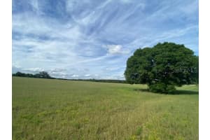 0 WHITE ROAD, BROOKSVILLE, FL 34602 - MLS#MFRTB8405022