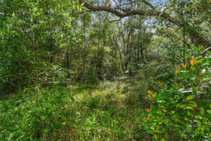 292 INDIANAPOLIS AVENUE, HERNANDO, FL 34442 Sold 08/18/25