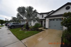 11418 CAY SPRUCE WAY, SAN ANTONIO, FL 33576 - MLS#MFRTB8405034