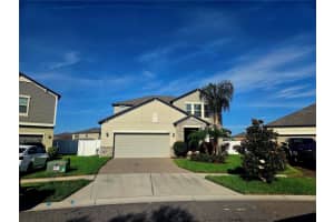 13332 Wildflower Meadow Dr, RIVERVIEW