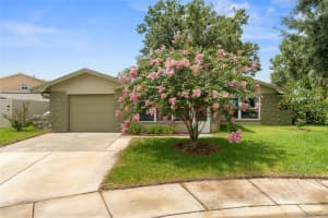 1811 HIBISCUS COURT, OLDSMAR, FL 34677 - MLS#MFRTB8405072