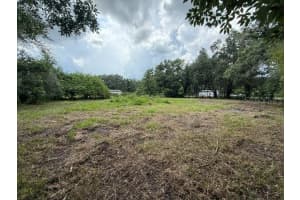 3011 WIGGINS ROAD, PLANT CITY, FL 33566 - MLS#MFRTB8405083