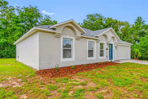 2424 KEEPORT DRIVE, SPRING HILL, FL 34609 - MLS#MFRTB8405190