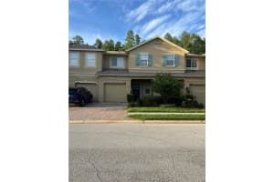 17451 HUGH LANE, LAND O LAKES, FL 34638 - MLS#MFRTB8405198