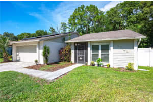 4504 Grainary Ave, TAMPA