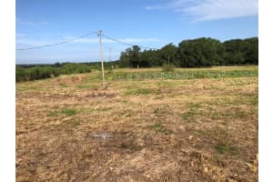 2012 ENGESSOR ROAD, ZEPHYRHILLS, FL 33540 - MLS#MFRTB8405260