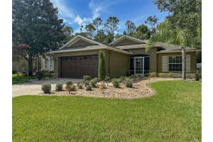 13903 CADEN GLEN DRIVE, HUDSON, FL 34669 - MLS#MFRTB8405268