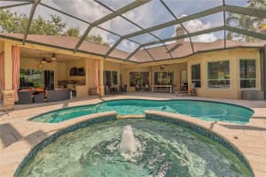 911 PINE LAKE DRIVE, TARPON SPRINGS, FL 34688 - MLS#MFRTB8405273